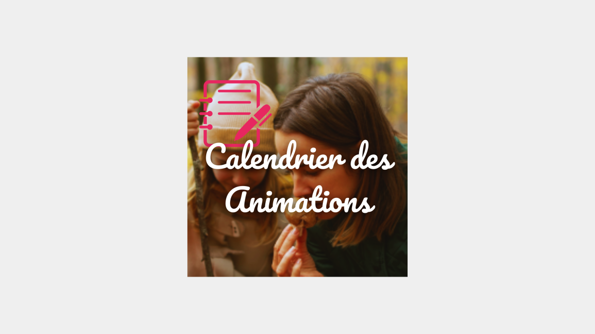 calendrier des animations.png